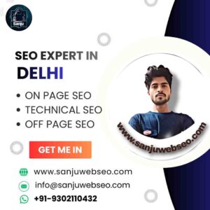 SEO Expert in Delhi
