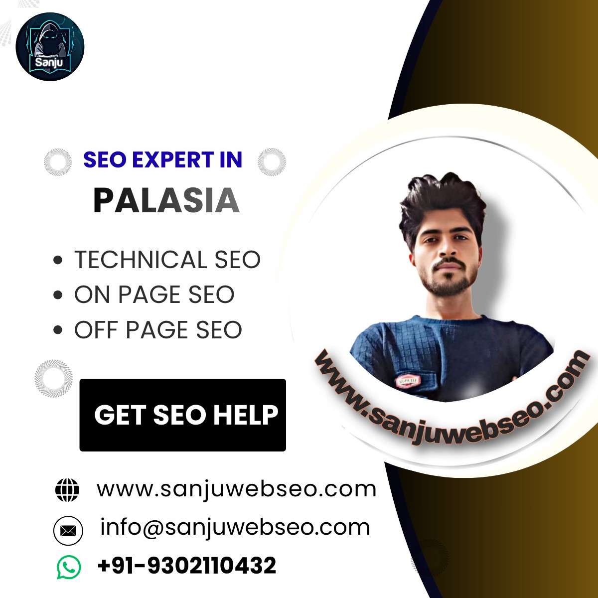 SEO Expert in Palasia